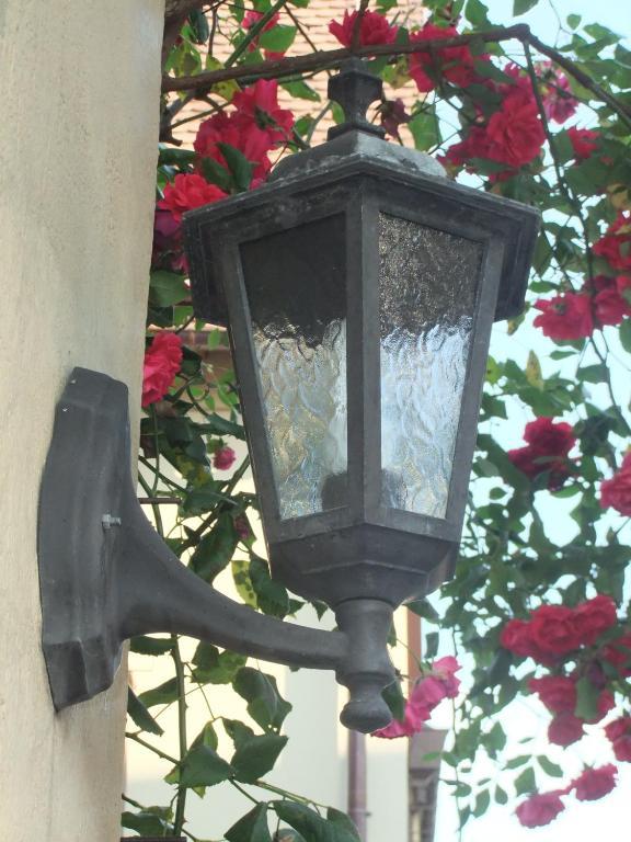 Pension Becker Rothenburg ob der Tauber Exterior photo